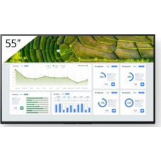 Sony Monitor Sony Bravia FW-55BZ30L