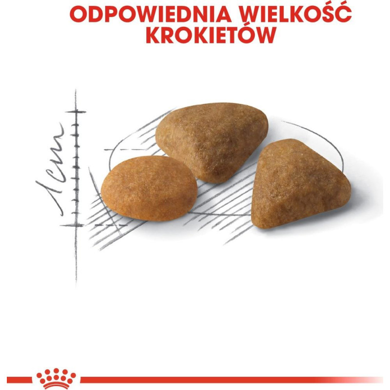 Royal Canin Savour Exigent cats dry food 10 kg Adult Maize, Poultry, Rice, Vegetable