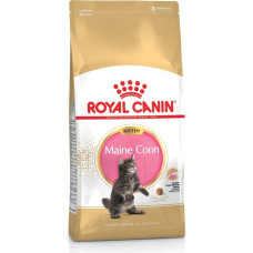 Royal Canin Maine Coon Kitten- dry cat food - 4 kg