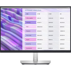 Dell Monitor Dell P2423 (210-BDFS)