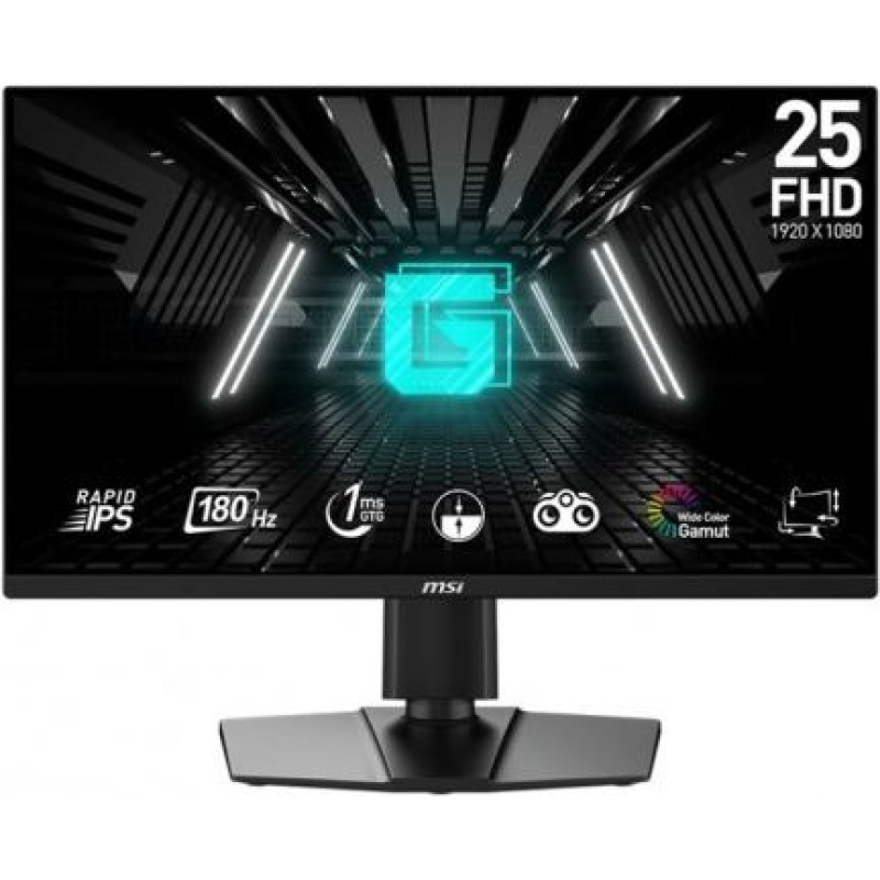MSI Monitor G255PF E2 24,5 cala LED/FHD/Flat/180Hz/Black