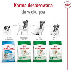 Royal Canin Adult Mini S - dry dog food - 4kg