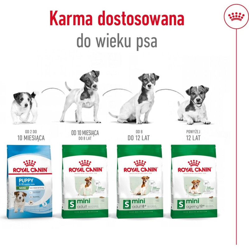 Royal Canin Adult Mini S - dry dog food - 4kg
