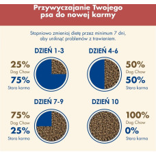 Purina Nestle PURINA Dog Chow Sensitive Salmon - dry dog food - 14 + 2,5kg