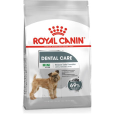 Royal Canin CCN Mini Dental Care - dry food for adult dogs - 3kg