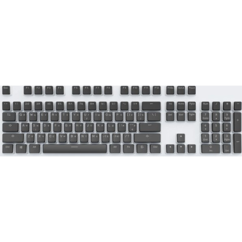 Dark Project KS-0049 Pudding, Black, RU