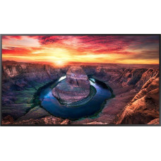 Samsung Monitor Samsung QM43B-T (LH43QMBTBGCX)