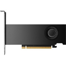 Pny Technologies PNY NVIDIA RTX 2000 Ada Generation 16 GB GDDR6
