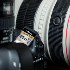 PNY Karta PNY Elite Performance SDXC 256 GB Class 10 UHS-I/U3  (SD256ELIPER-EF)