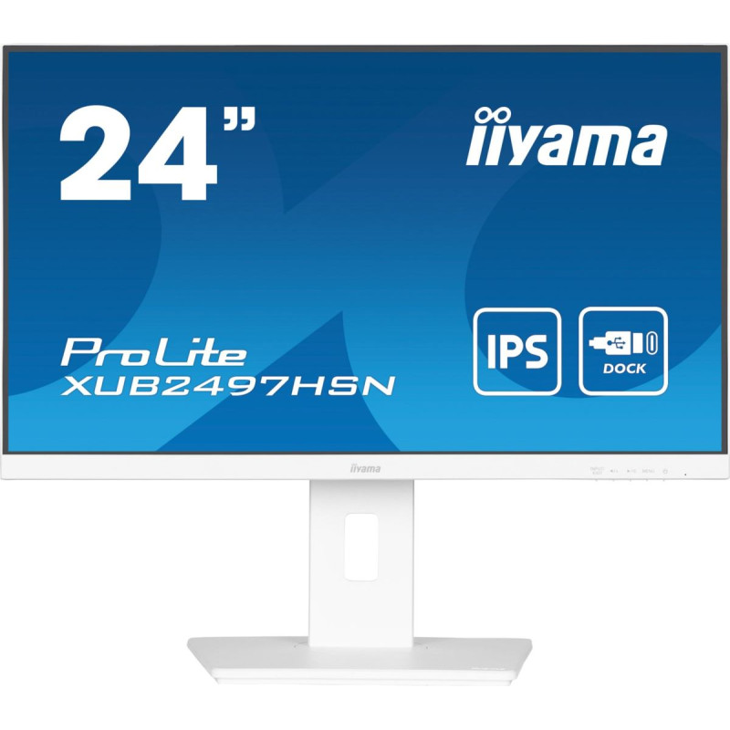Iiyama Monitor iiyama ProLite XUB2497HSN-W2
